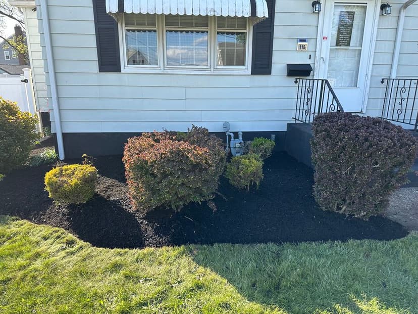 Award-Winning Service's image