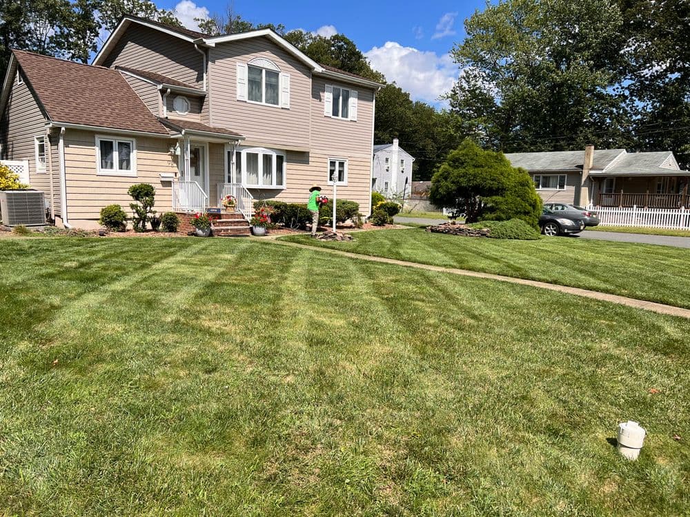 About No Limit Landscape LLC